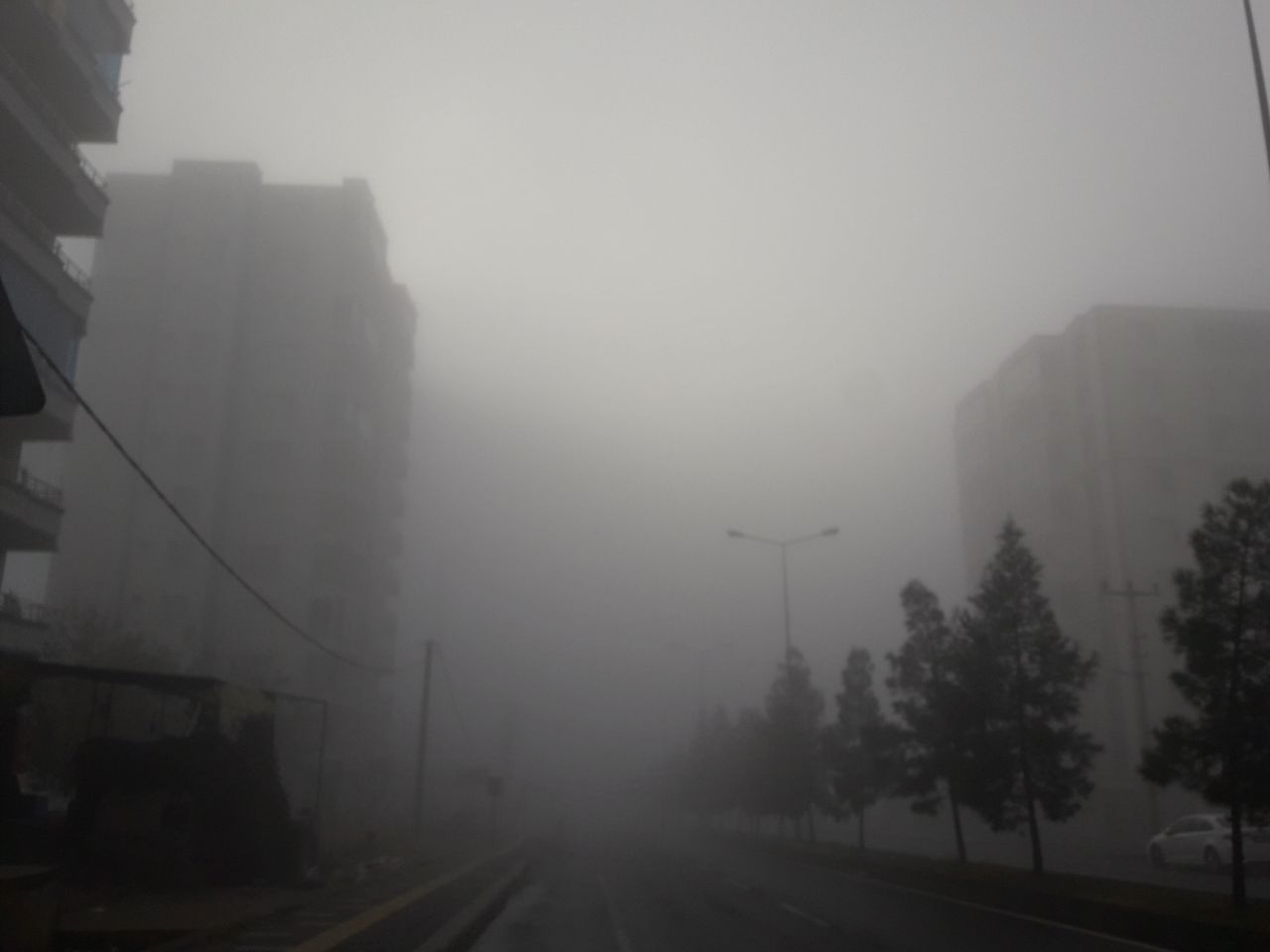 Photo 2024 12 06 10 02 18 (2)