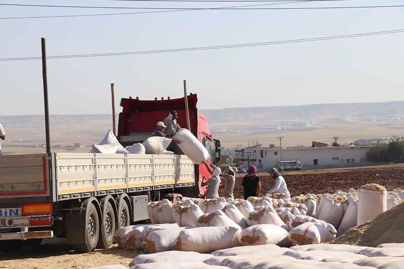 Diyarbakır Ve Batman’da 40 Derecede Zorlu Saman Mesaisi 1