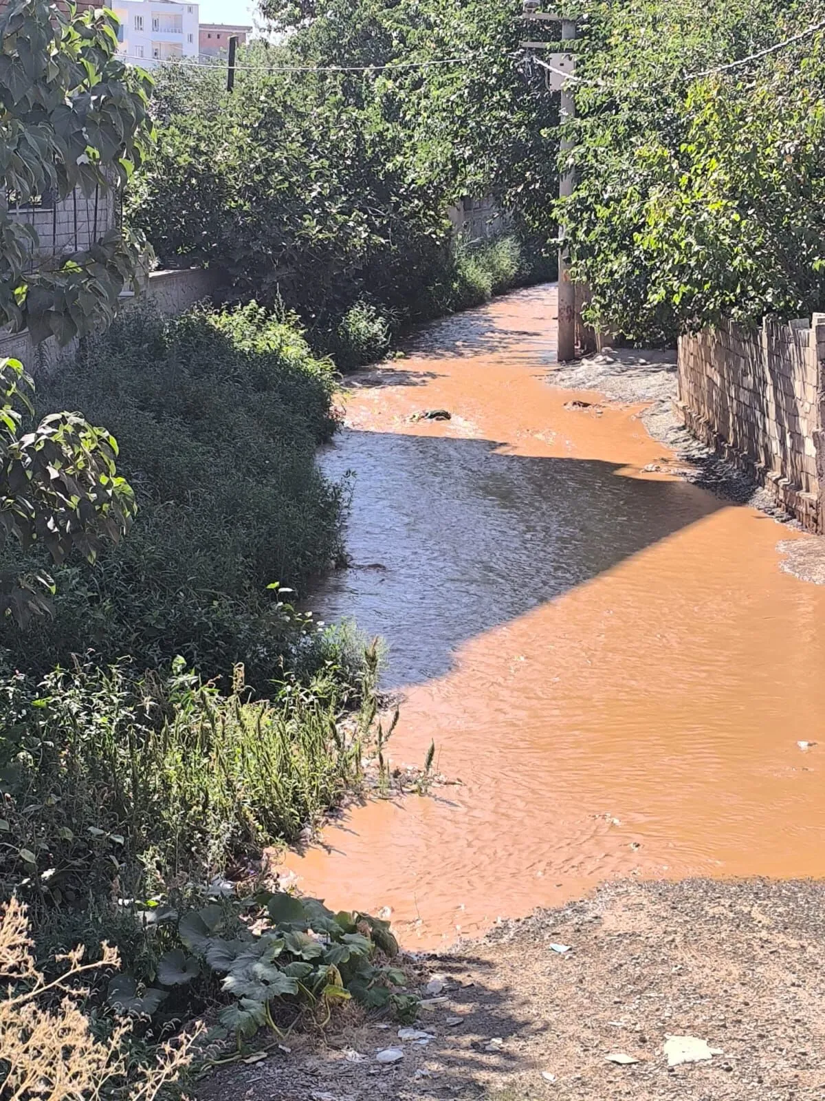 Diyarbakır'da Dsi̇’nin Sulama Kanalı Patladı! Mahallede Taşkın Meydana Geldi