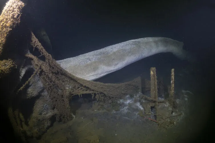 Türkiye'de Depremle Denize Gömülen “Batık Şehir” 26 Yıl Sonra Görüntülendi 1