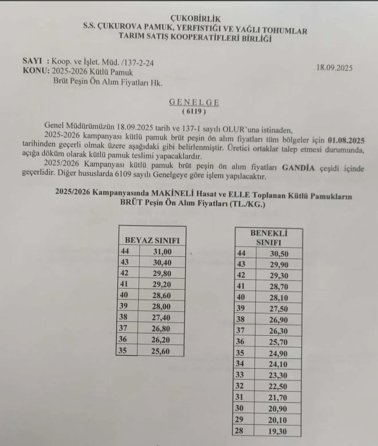 Çokubirlik Pamuk Alım Fiyatını Açıkladı! 3