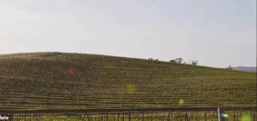 Bir Milyardan Fazla Kişi Gördü Xp'nin Arka Plan Fotoğrafı Nerede Çekildi 3