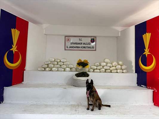Diyarbakır’da 93 Kilo Esrar Ele Geçirildi 1