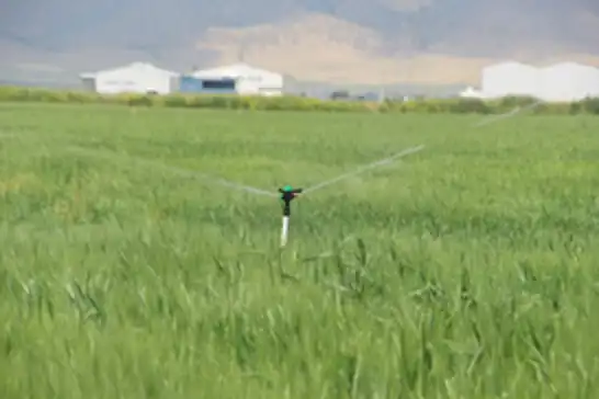 Diyarbakırlı Lise Öğrencilerinin Projesi Abd Finalinde 3