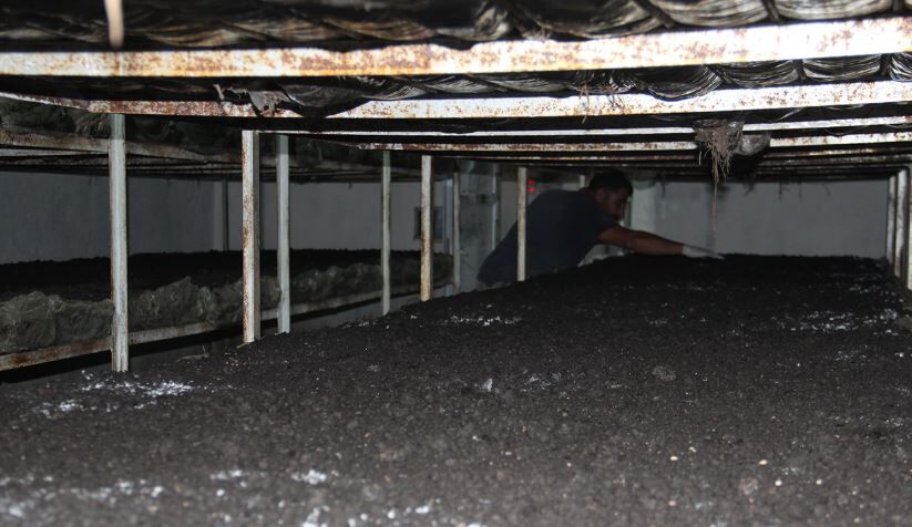 Batman'da Eski Inşaat Işçisi 40 Ton Mantar Üretiyor 3