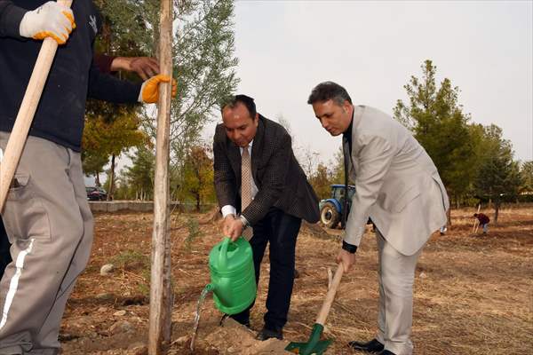 Diyarbakır'da Fidanlar Toprakla Buluştu-1