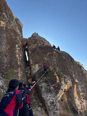Diyarbakır'da Kayalıklarda Mahsur Kalan 25 Keçi Kurtarıldı 1