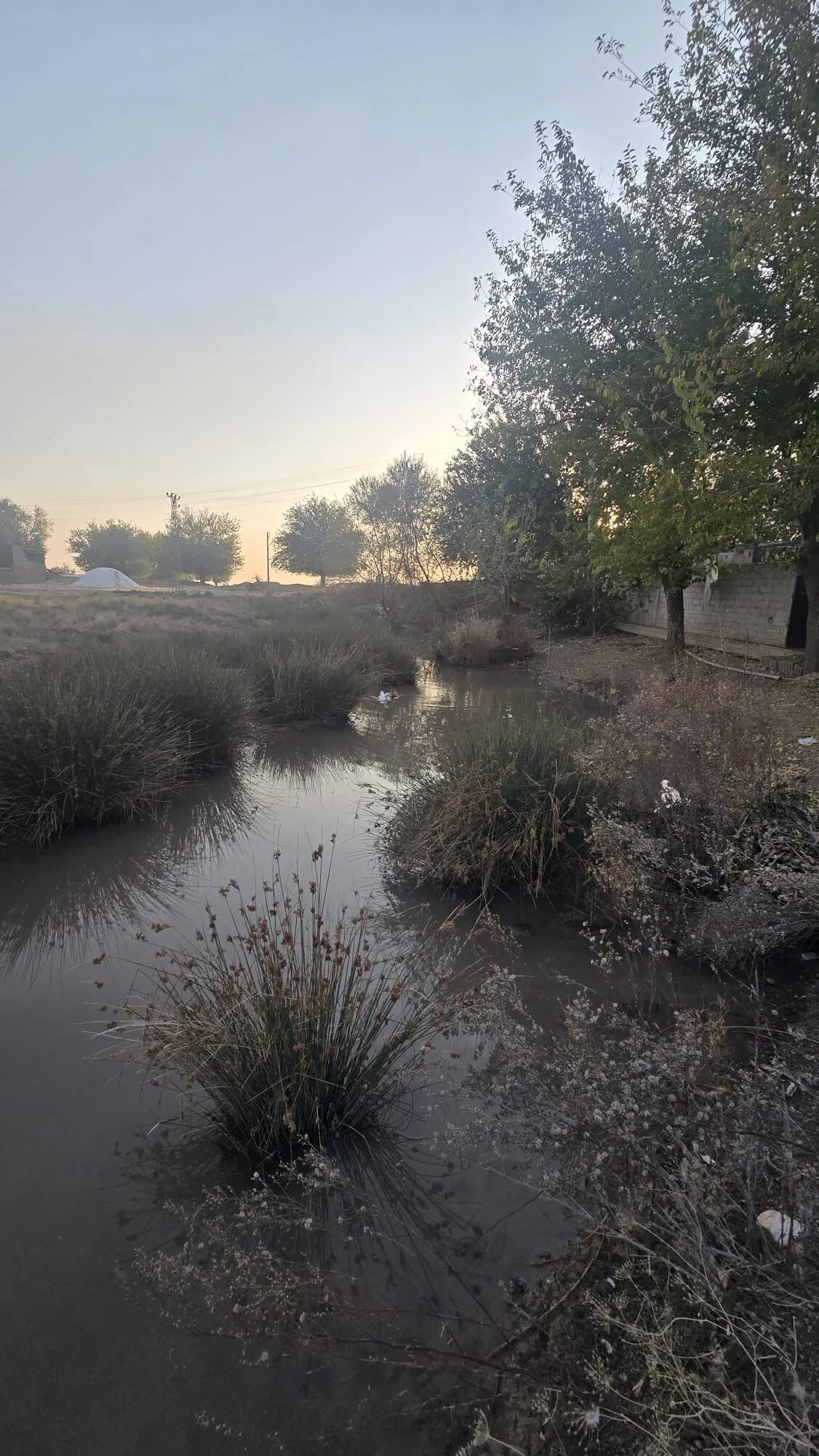 Diyarbakır'da Köylüler Islah Edilmeyen Dereden Endişeli 3