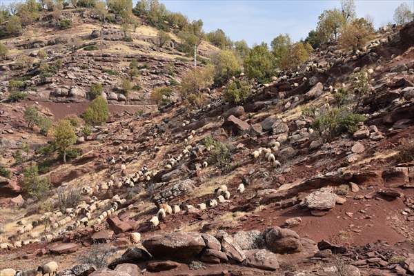 Koçerlerin Dönüşü 40 Gün Süren Zorlu Göç 3