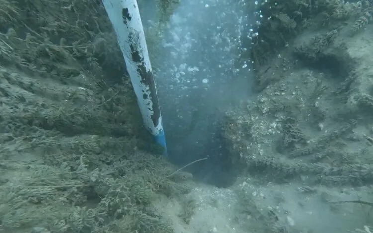 Sapanca Gölü'nde Kabarcıklar Oluştu! Uzmanlar Değerlendirdi 1