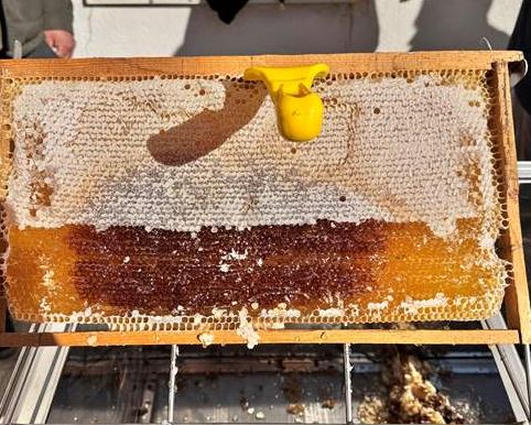 Siirt'te 114 Projeye 268 Milyon Lira Hibe Desteği 1