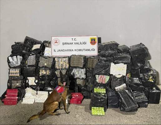 Şırnak’ta Asayiş Ve Kaçakçılık Operasyonları 51 Gözaltı 1