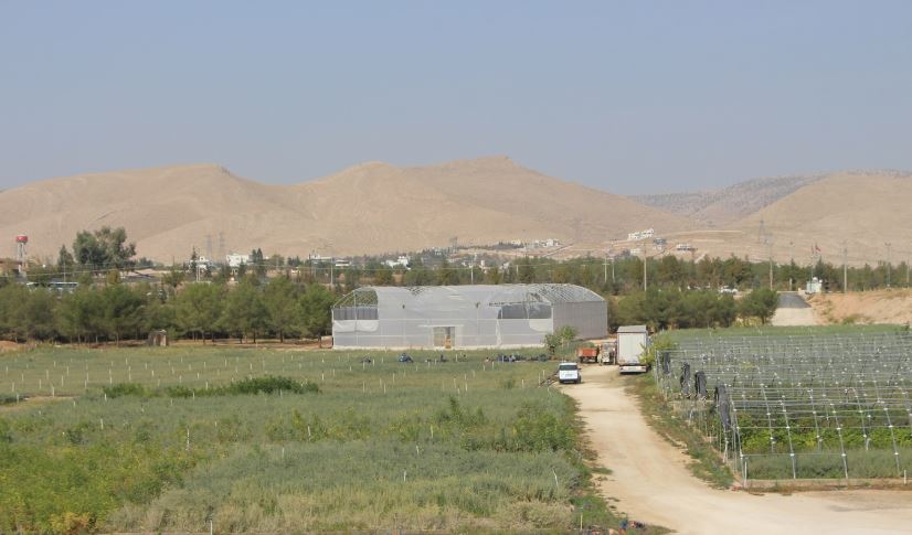 Türkiye'de Hayvancılık Ve Meraları Kurtarabilecek Proje Diyarbakır'a Komşu Ilde Başladı 1