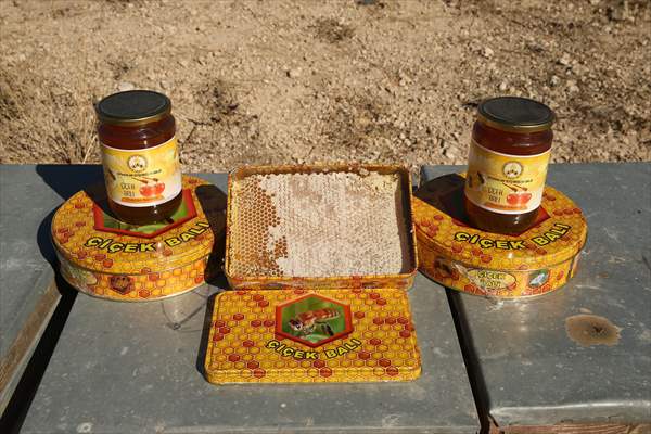 Adıyaman’da Bal Üretimi Bu Yıl 650 Tona Ulaştı 3