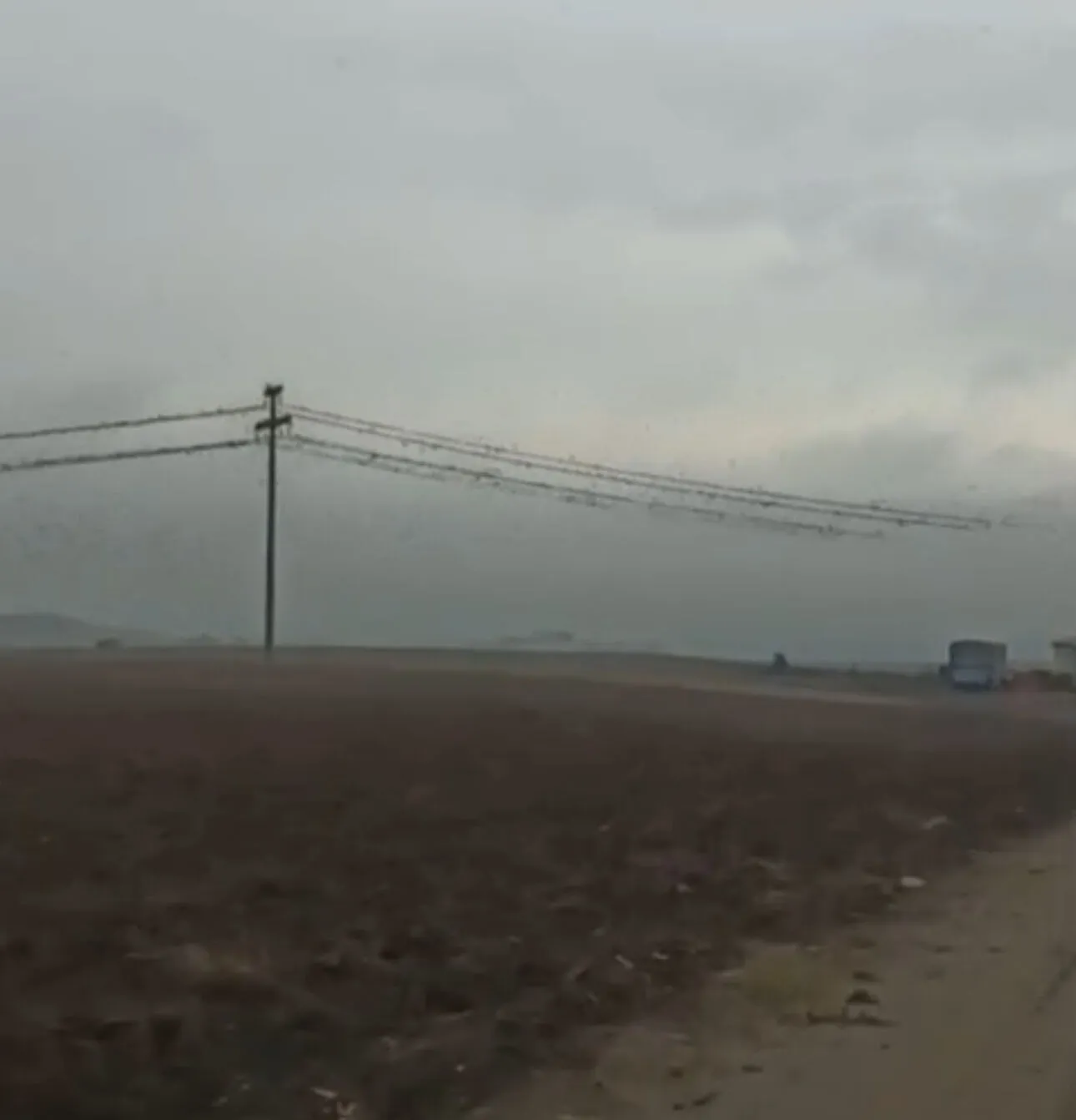 Diyarbakır'da Elektrik Kesintisinin Nedeni Kuşlar Mı 1