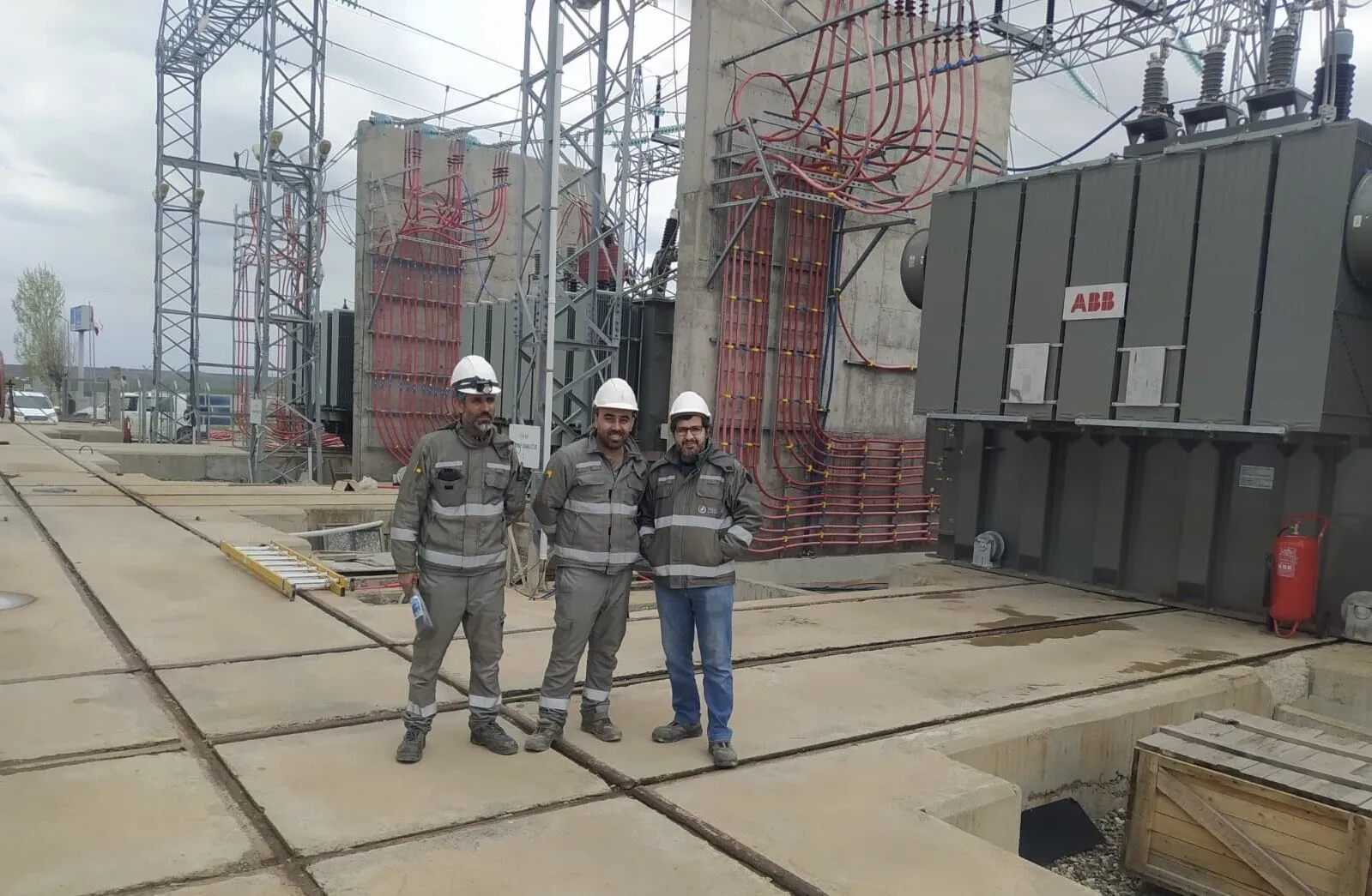 Diyarbakır'da Elektrik Kesintisinin Nedeni Kuşlar Mı 3