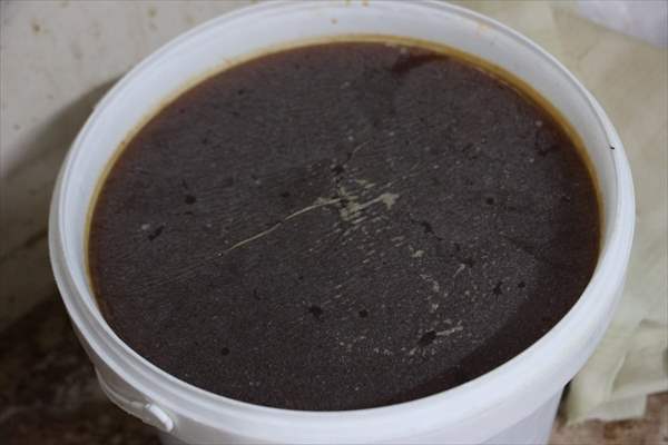 Kilis'te Hijyen Skandalı Yerdeki Ölü Fareler Pes Dedirtti 3