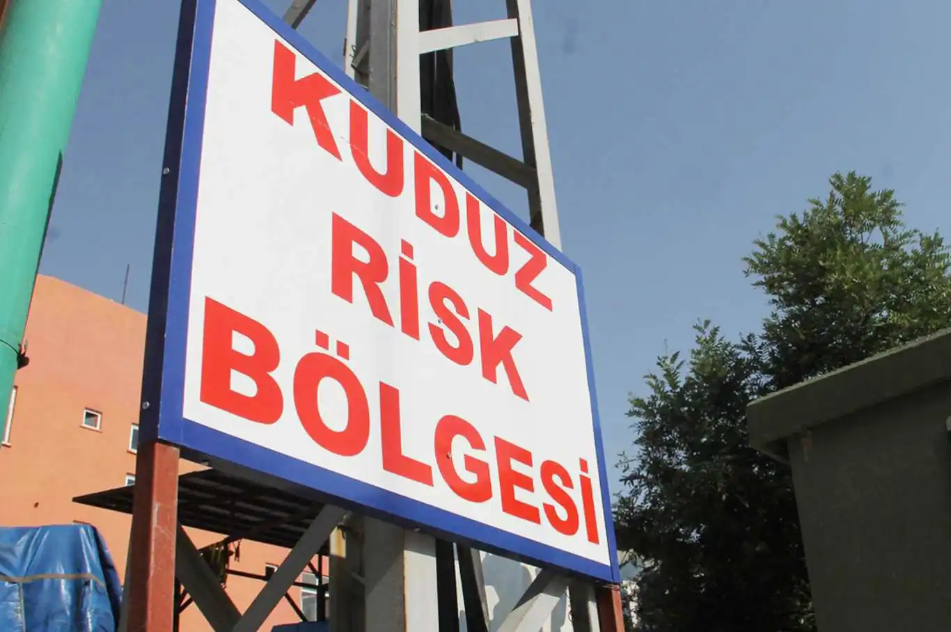 Kuduzdan 1 Kişinin Öldüğü Diyarbakır'da Sokak Köpekleri Sorunu Bitirilmiyorköpek Iki Kişiyi Daha Isırdı