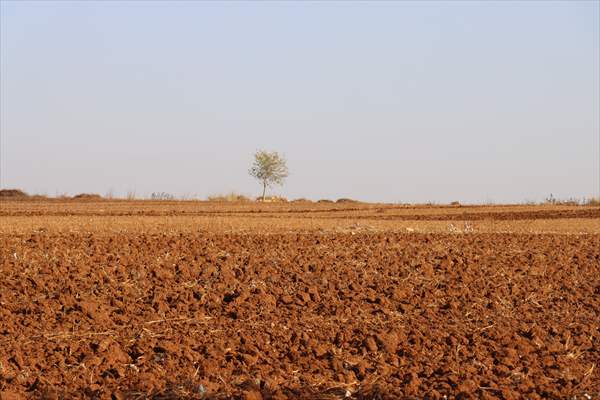 Toprak Ve Su Kaybı Gıda Güvenliğini Tehdit Ediyor 5