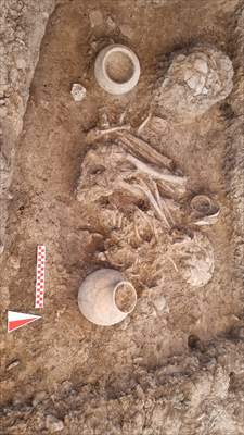 Diyarbakır'da 255 Insan Iskeleti Mezopotamya Ve Kafkas Bağlantılı Çıktı 3