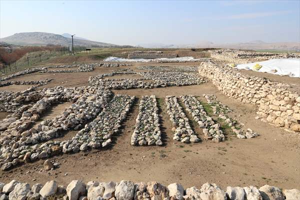 Diyarbakır'da 255 Insan Iskeleti Mezopotamya Ve Kafkas Bağlantılı Çıktı 7