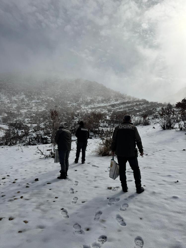 Hasankeyf’te Yaban Hayvanları Için Doğaya Yem Bırakıldı 1