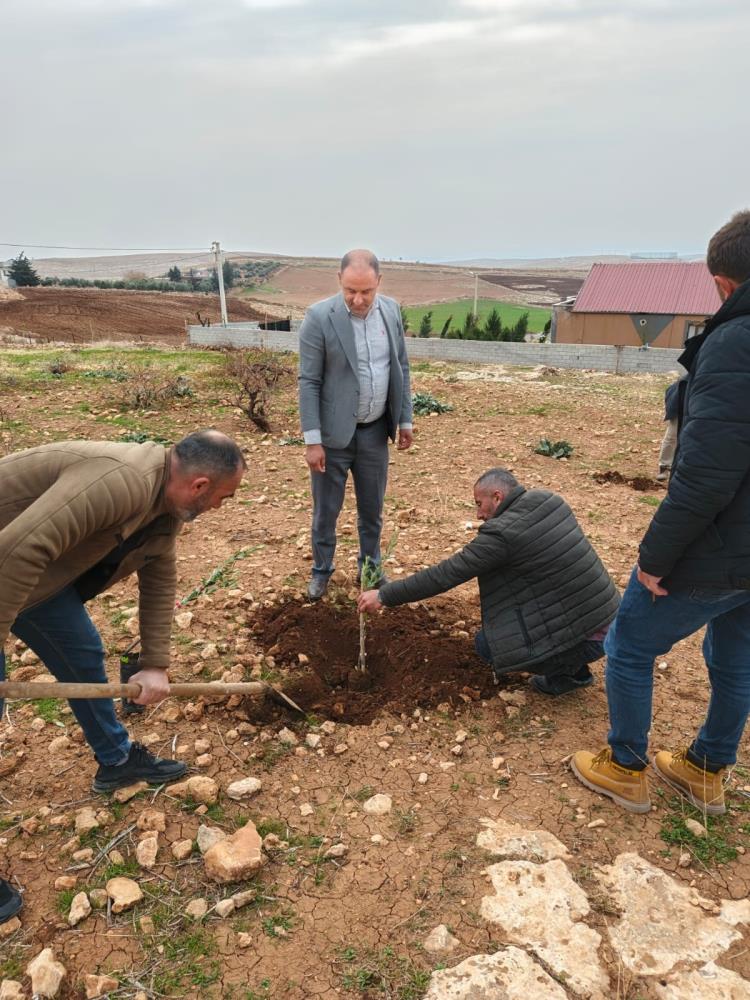 Mardin'in Bu Mahallesi Sıfır Atık Köyü Olma Yolunda Ilerliyor 1