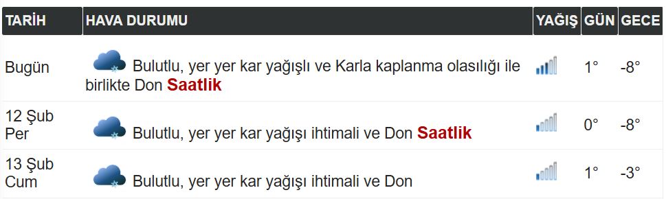 Kars'ta 3 Günlük Hava Durumu Don Etkili Olacak-1