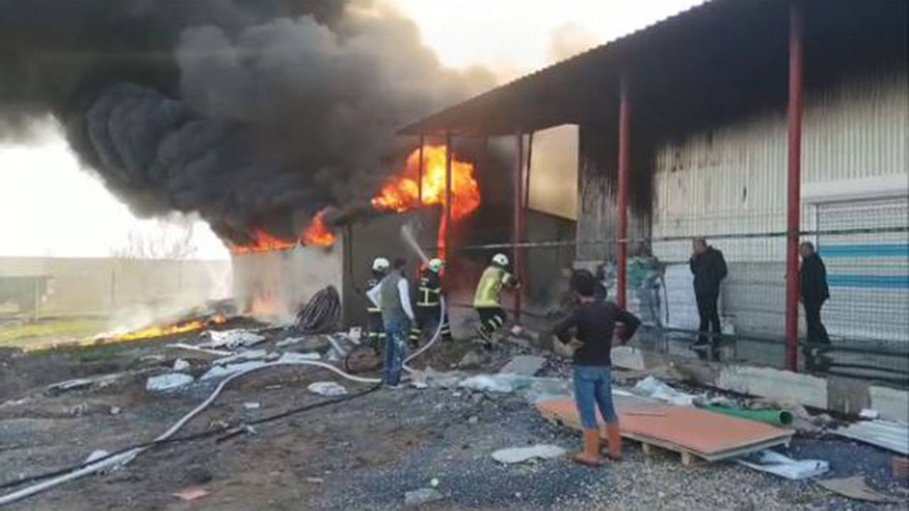 Photo 5827852407281487045 Y