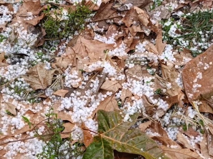 Şanlıurfa’da Dolu Etkili Oldu 3