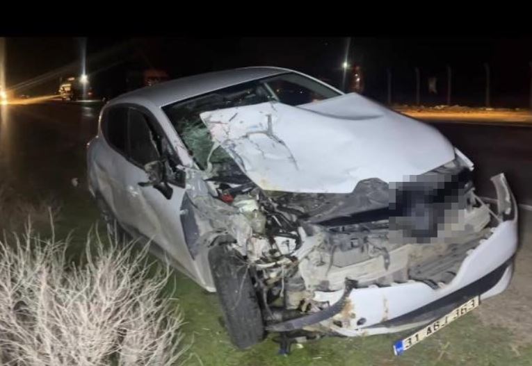 Şanlıurfa’da Otomobil At Arabasına Çarptı At Arabası Ikiye Bölündü 1