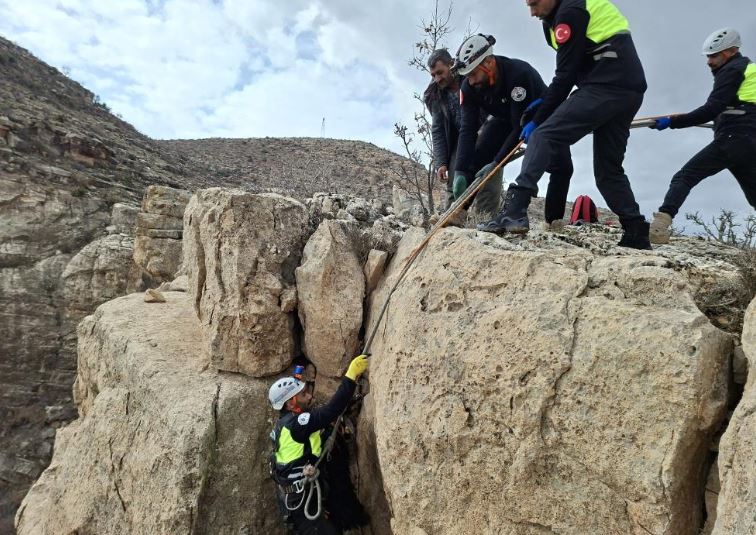Siirt’te Dağlık Alanda 3 Gündür Mahsur Kalan Keçi Kurtarıldı 1