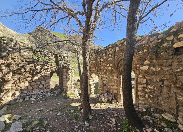 Şırnak’ta Tarihi Feqiye Teyran Medresesi Yok Olma Tehlikesiyle Karşı Karşıya 3