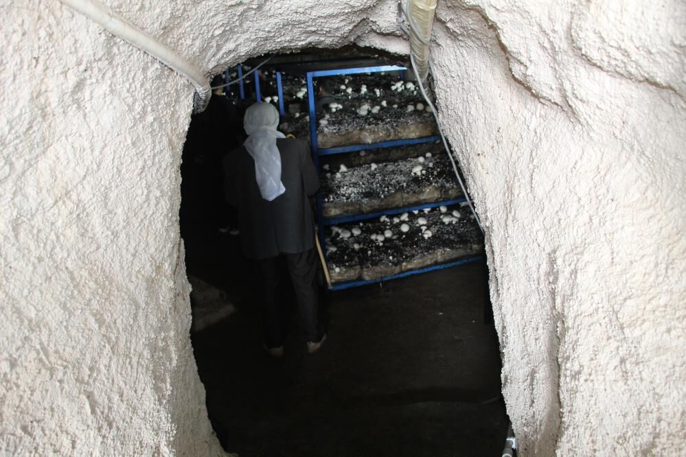 2 Bin Yıllık Mağarada Mantar Üretimi 3