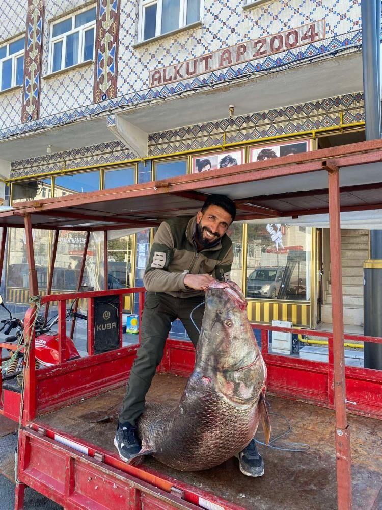 Diyarbakır'da 100 Kiloluk Dev Turna Balığı Yakalandı-1