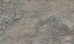 Diyarbakır'da Nesli Tükenme Tehlikesi Altında Bulunan Dağ Keçileri Sürü Halinde Görüntülendi