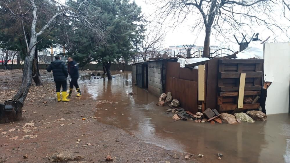 Yağış Sonrası Kümeste 5 Tavuk Telef Oldu