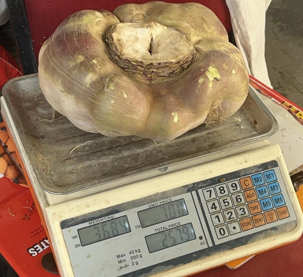 Batman'da 4 Kiloluk Dev Turp Görenleri Şaşırttı 1