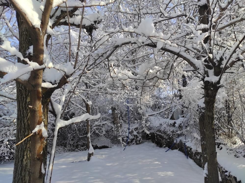 Batman’da Hava Değişimleri Üreticiyi Vurdu Meyve Ağaçları Zarar Gördü 1