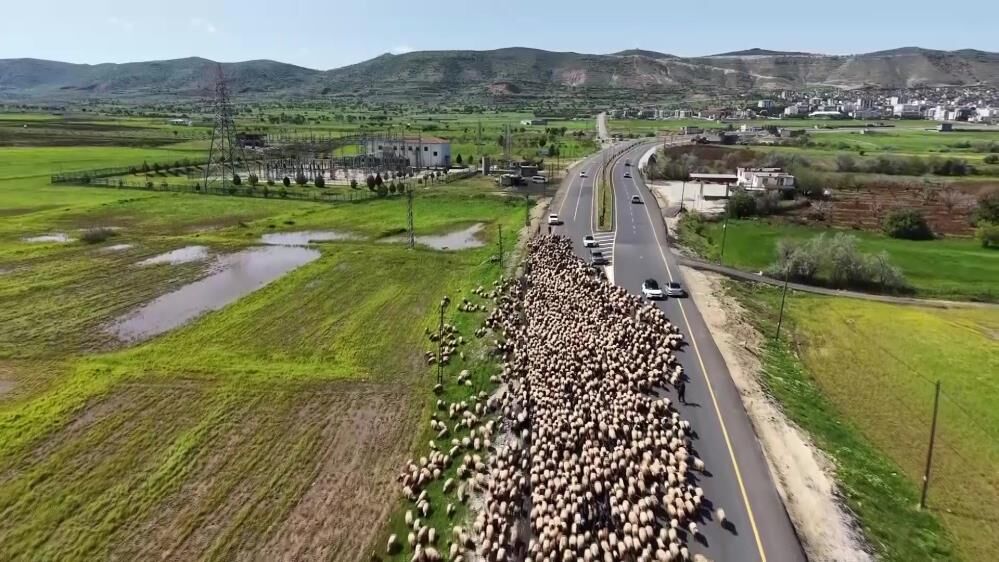 Binlerce Yıllık Gelenek Mardin Kışlaklarından Van Yaylalarına Zorlu Yolculuk 1