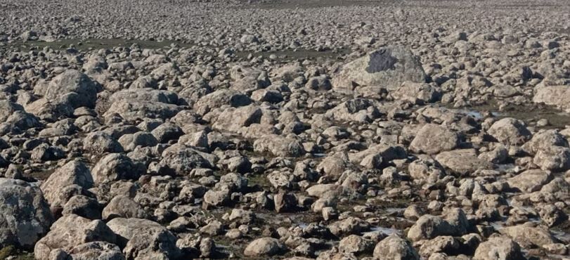 Diyarbakır'da Sahte Çiftçi Vurgunu 22 Kişi Ağır Ceza Mahkemesi'nde