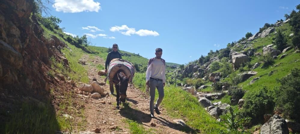Sason Dağlarında Pancar Mesaisi Başladı 1