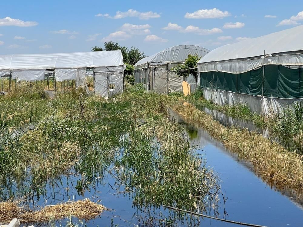 Batman'da Aşırı Yağış Seraları Vurdu; Milyonlarca Liralık Zarar 1