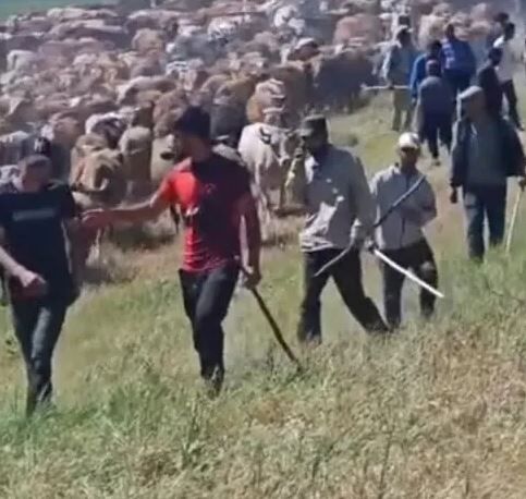 Diyarbakır'a Sınır Ilde Iki Köy Arasında Silahlar Patladı Yaralılar Var-1