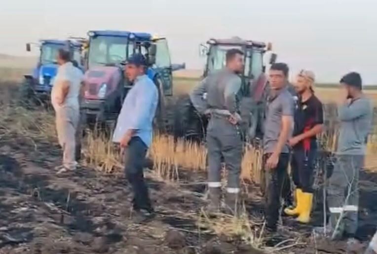 Diyarbakır'da Mısır Tarlası Faciayı Önledi Buğday Tarlası Kül Olurken 35 Yıllık Elektrik Hattına Tepki 1