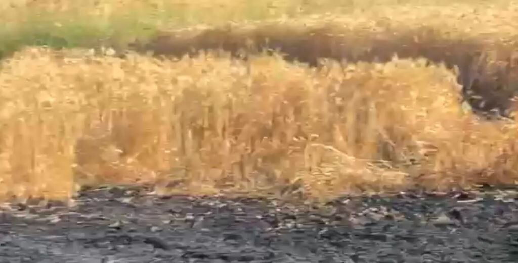 Diyarbakır'da Tehlike Geliyorum Diyor! 7