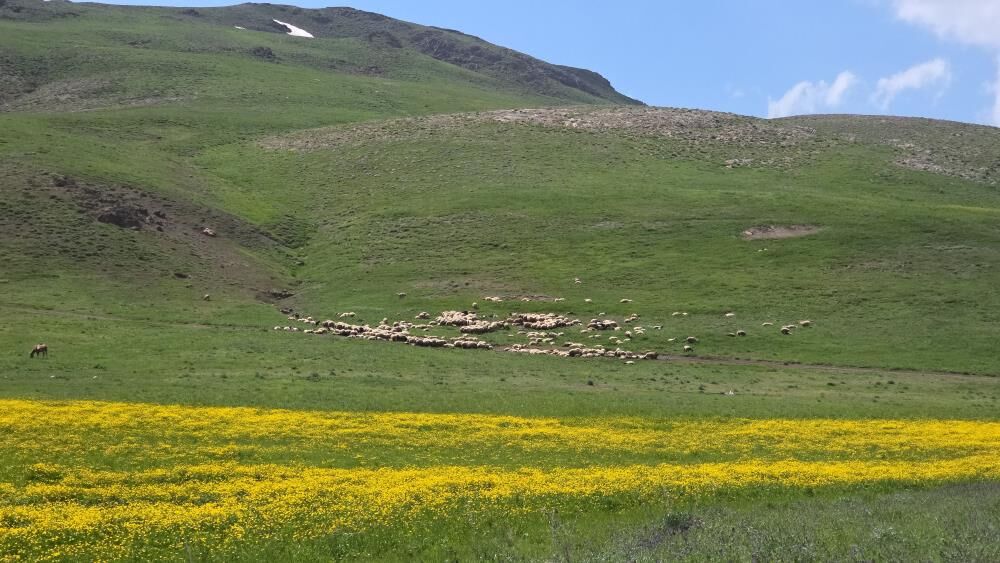 Van'da Şaşırtan Manzara Ovada Yaz; Karabet'te Kış Yaşanıyor 9