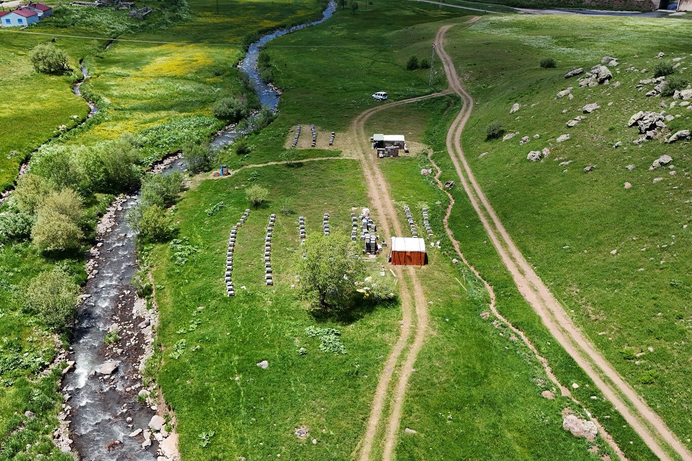 Yaylalarda Arıcılık Hareketlendi Bal Sezonu Geç Açıldı