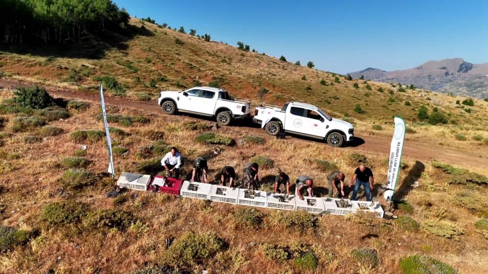 Diyarbakır'da Keneye Karşı Doğaya Kınalı Keklikler Salındı 1