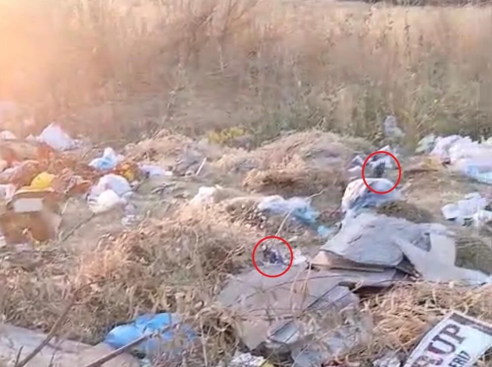 Diyarbakır'da Toplanmayan Çöpler Fare Yuvasına Döndü Mahalle Halkından Tepki 1